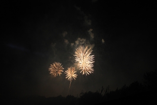 Feuerwerk Bilder und Fotos