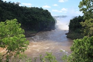 Regenwald Bilder