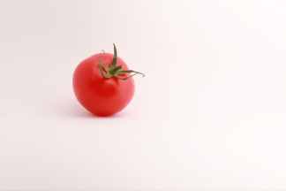 Tomaten Bilder