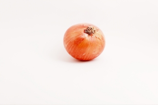 zwiebel-photomakers